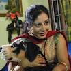 BOMMAINAAIKAL - Latest Movie Gallery 2012