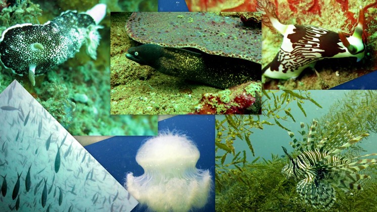 [Palawan1%255B5%255D.jpg]