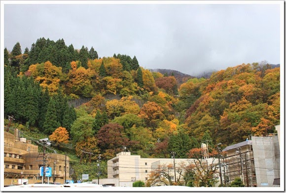 日本中部之旅(Day5)_43