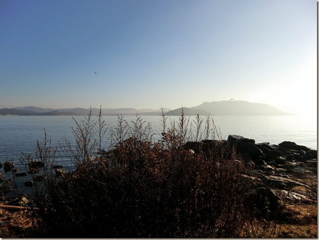 november 2 2011 087