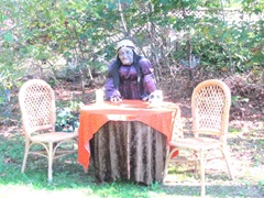 11.2011 Wellfleet Halloween yard 7 fortune teller woman