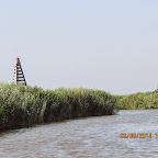 IMG_5654.JPG