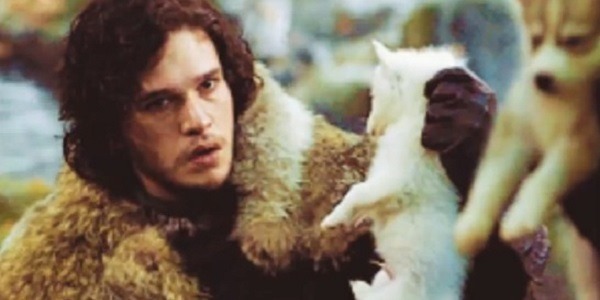 Gifs animados com sons ficam muito mais legais 7 Gifs animados com sons ficam muito mais legais 7