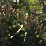 IMG_1638.JPG