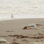 IMG_1866.JPG
