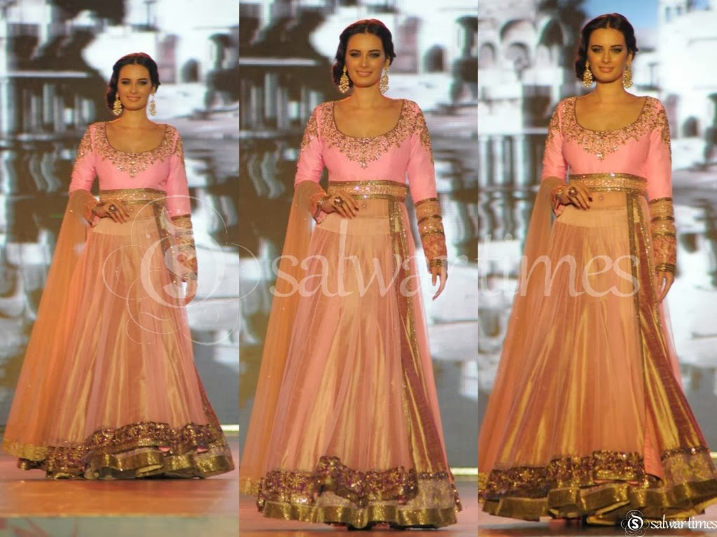 [Evelyn_Sharma_Manish_Malhotra_Salwar_Kameez%255B4%255D.jpg]