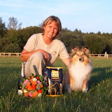 Blandet 2006