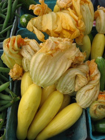 [squash%2520blossoms%255B5%255D.jpg]