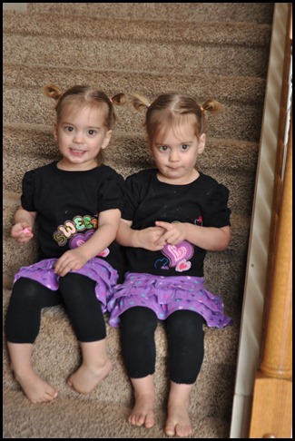 DSC_0914 DSC_0914