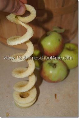 How to Make Make Apple Chips How to Make Make Apple Chips