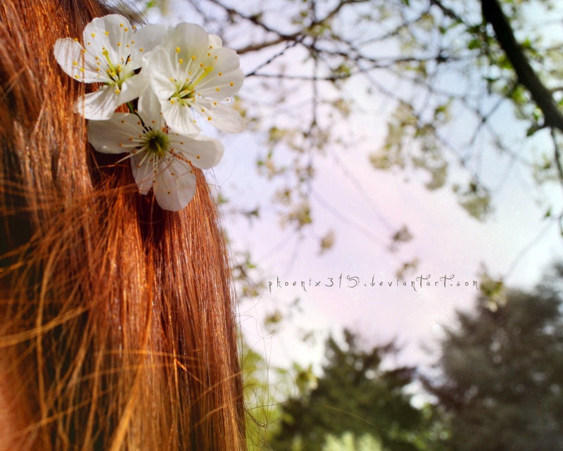 [Some_Flower_In_Your_Hair_by_Phoenix315%255B3%255D.jpg]