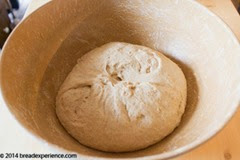 sprouted-kamut-flour-bread-1-18 sprouted-kamut-flour-bread-1-18