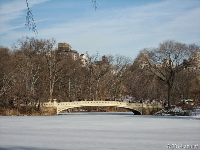IMG_0227 IMG_0227