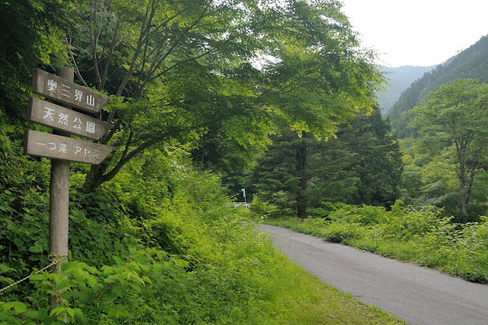 さらに林道は続く