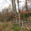 PB110027.jpg