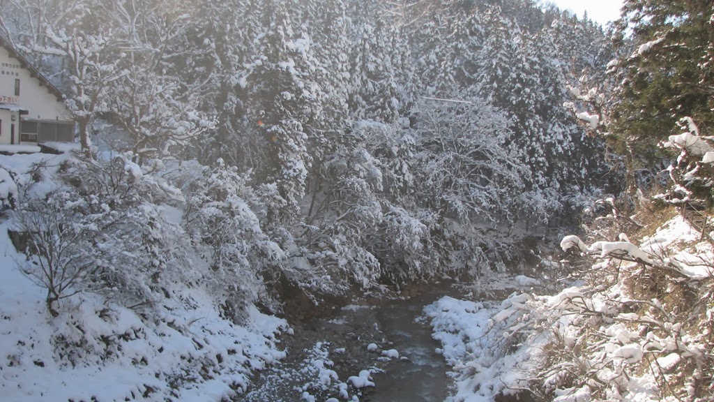 [IMG_4313%255B3%255D.jpg]