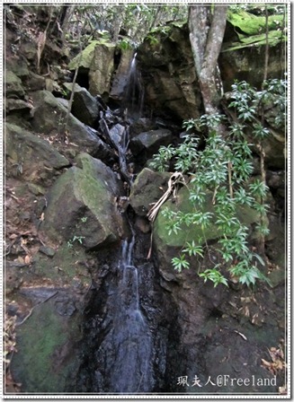 scenic world4