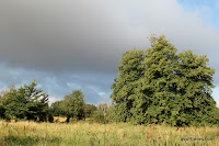 IMG_2313.JPG Photo