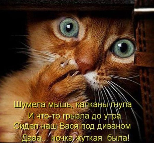 [7d8f39eac9ffb13387f4789cfe4_prev%255B3%255D.jpg]