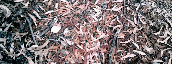 outside 3