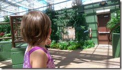IMAG0055 IMAG0055