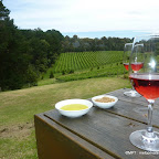 Mornington Peninsula Winery