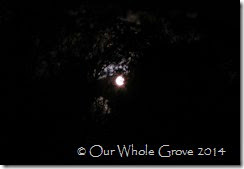 full moon full moon