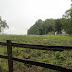 DSC07019.JPG