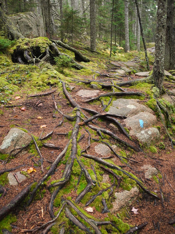 BH_hike_10 BH_hike_10