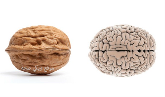 02-Walnut-BrainFoods-That-Look-Like-Body-Parts-1 02-Walnut-BrainFoods-That-Look-Like-Body-Parts-1