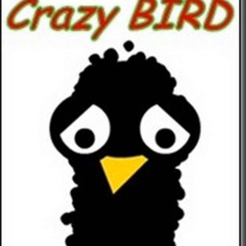 Jogo Crazy BIRD um pássaro muito louco no seu Android
