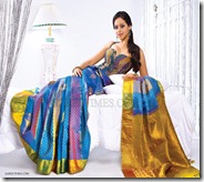 Bhavana_Bridal_Saree_Show (11)