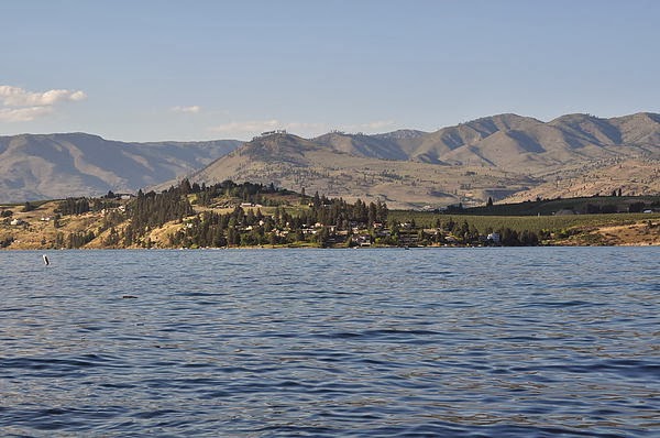 DSC_0599.JPG DSC_0599.JPG