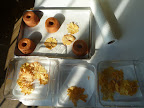 All the ingredients, waiting off to the side in the sun.
