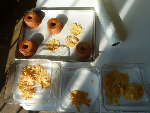 All the ingredients, waiting off to the side in the sun.