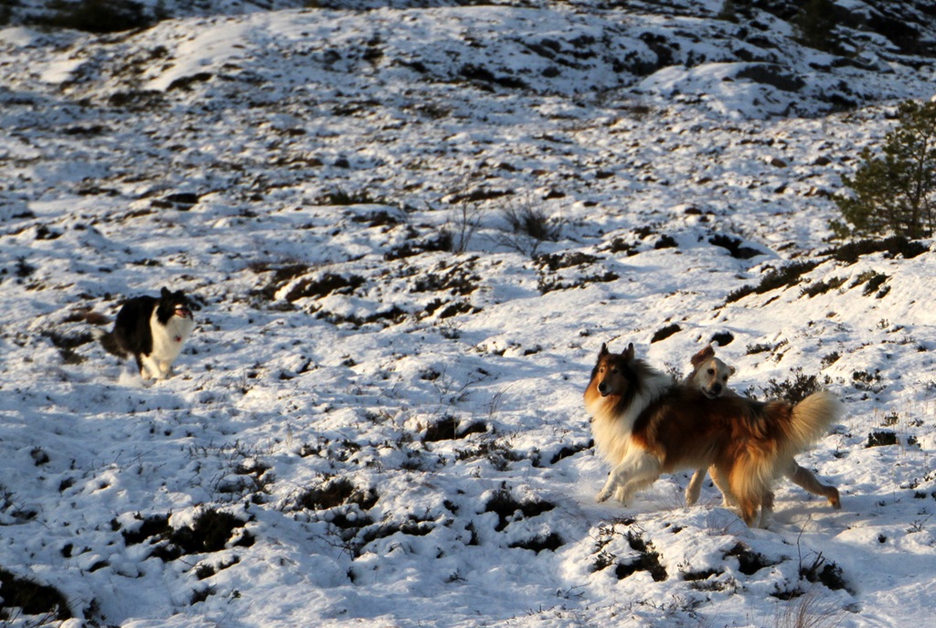 [IMG_7189%255B5%255D.jpg]