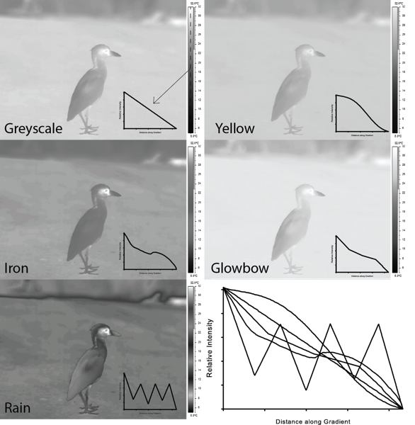 Thermal Image Comparison Greyscale