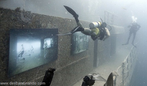 vandenberg underwater photography fotos submarinas navio naufragado desbaratinando (14)