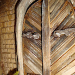 1430-7.JPG