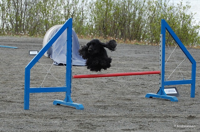 [DSC_4161%255B3%255D.jpg]