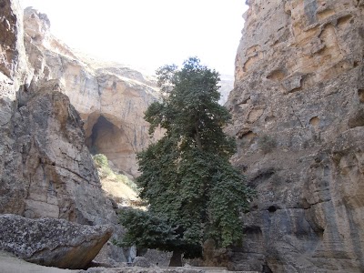 DSCN4046.jpg