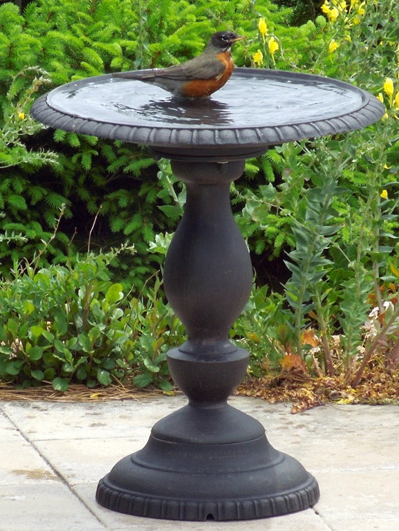 [DSCN1669%255B3%255D.jpg]