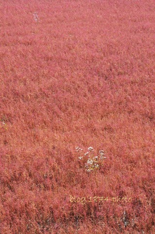 [SYG_4266%255B3%255D.jpg]