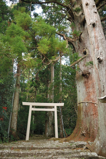 大馬神社参道