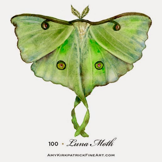 [100-Luna-Moth-wt%255B6%255D.jpg]