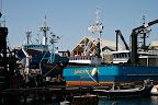 _MG_3556