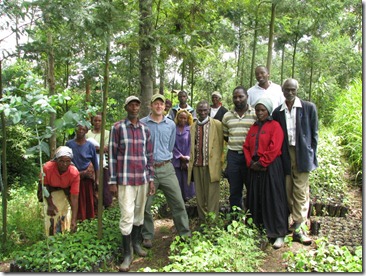 GBM tree planting group