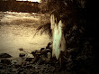 Marooned Ghost