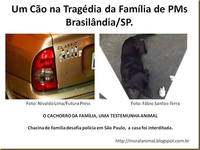 CaoTragediadaFamiliaPMs CaoTragediadaFamiliaPMs