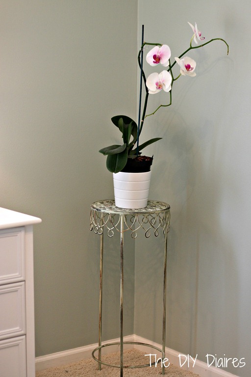 [orchid%2520with%2520swirl%2520table%255B4%255D.jpg]
